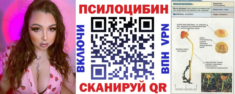 наркошоп  Нарьян-Мар  Псилоцибиновые грибы Cubensis 